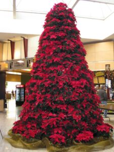 Holiday & Seasonal Decor - Christmas Tree - KEI - Wisconsin