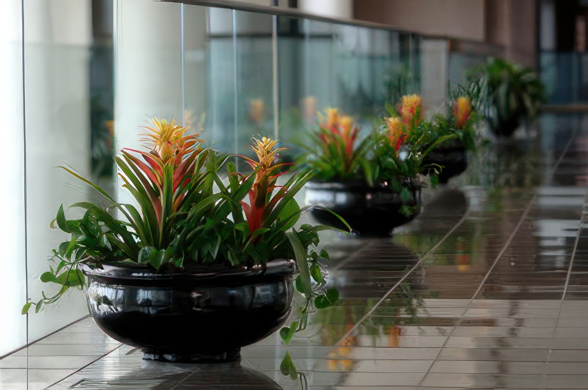 Landscape Design and Installation - KEI
