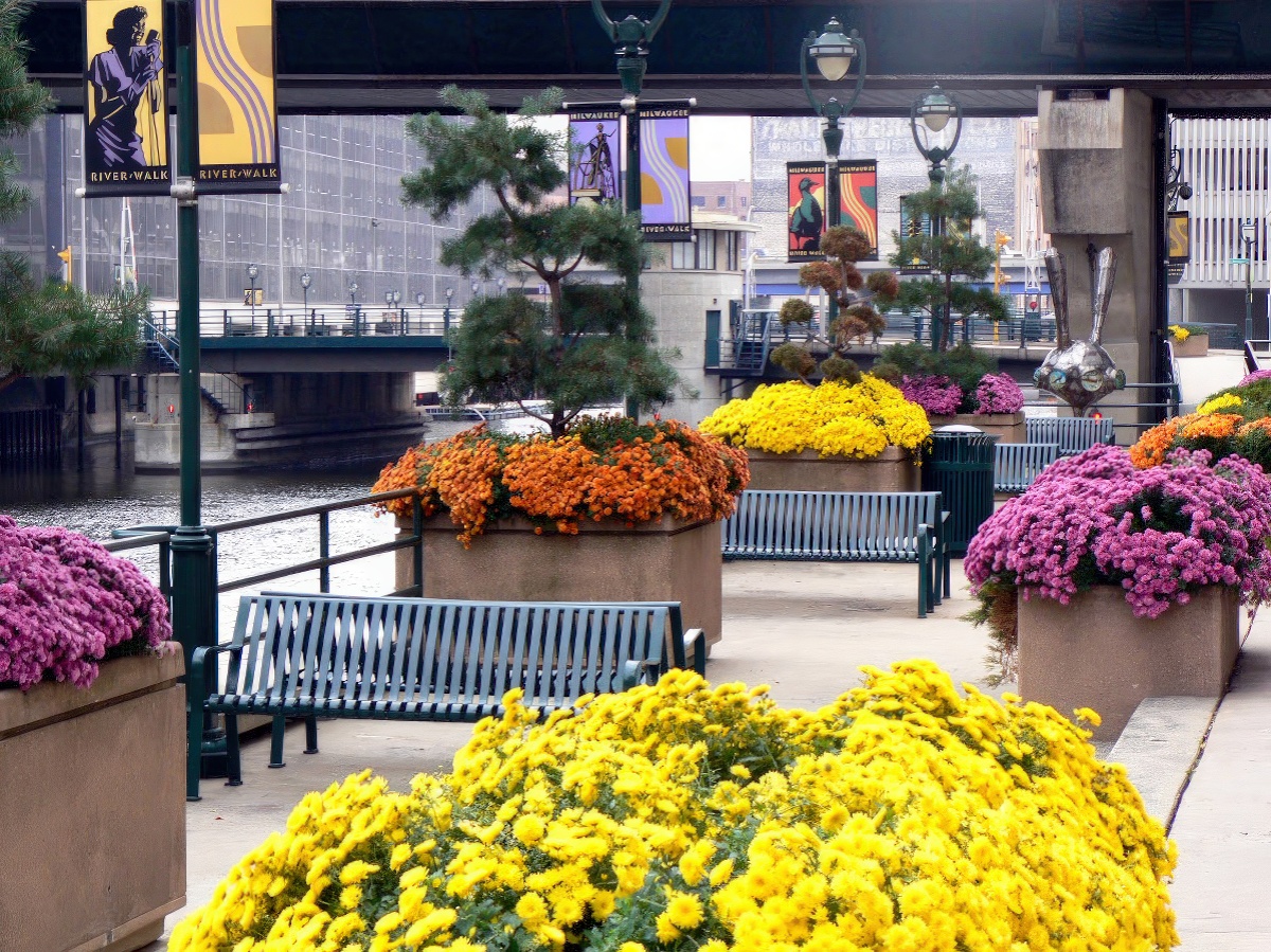 Streetscapes - Seasonal Color - KEI
