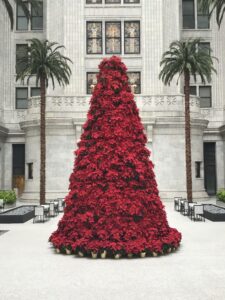 Holiday and Decor - KEI