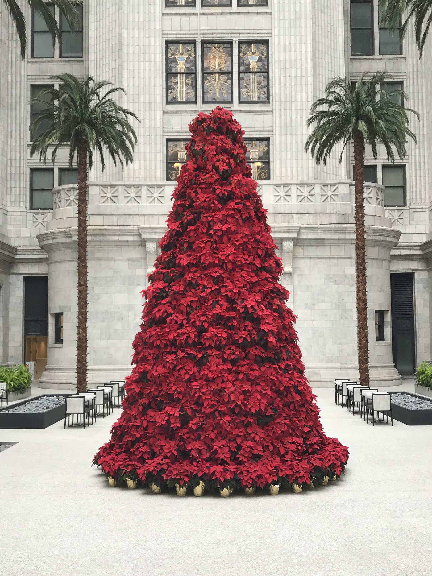 Holiday and Decor - KEI