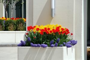 Holiday and Season Decor - KEI