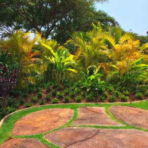 Kukui’ula Club Cottages - landscape design and installation -No Ka Oi Landscape Services