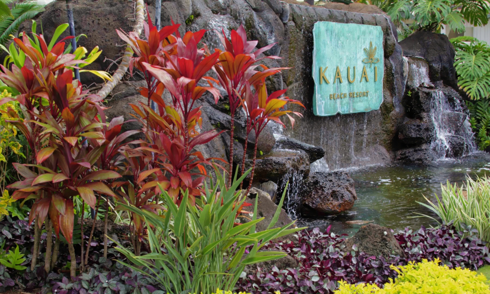Landscape Design and Installation - KEI