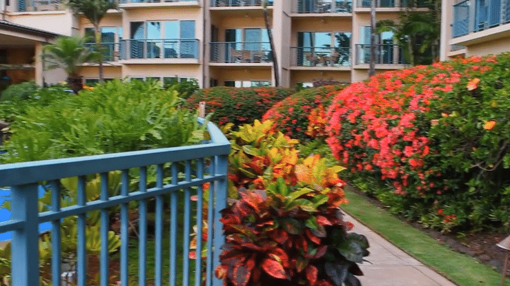 Waipouli Beach Resort & Spa - No Ka Oi Landscape Services