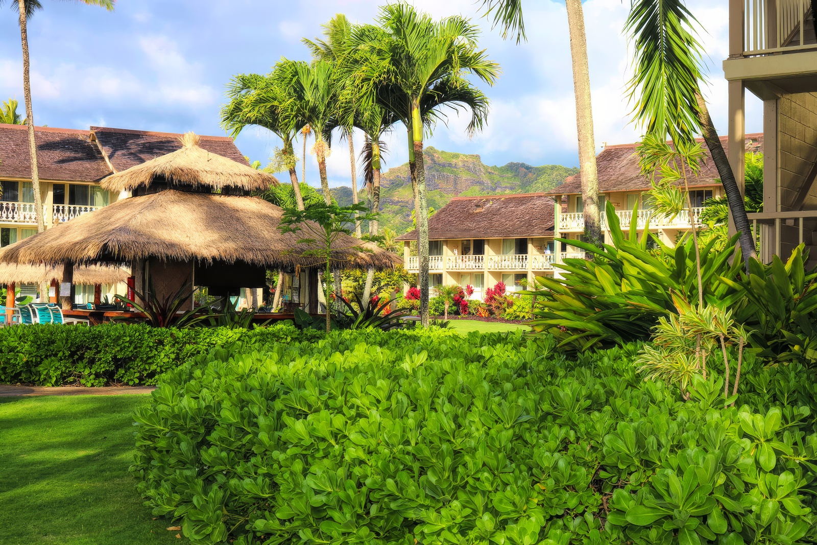 Islander on The Beach - Landscape Maintenance - No Ka Oi Landscape Services - Kauai, HI