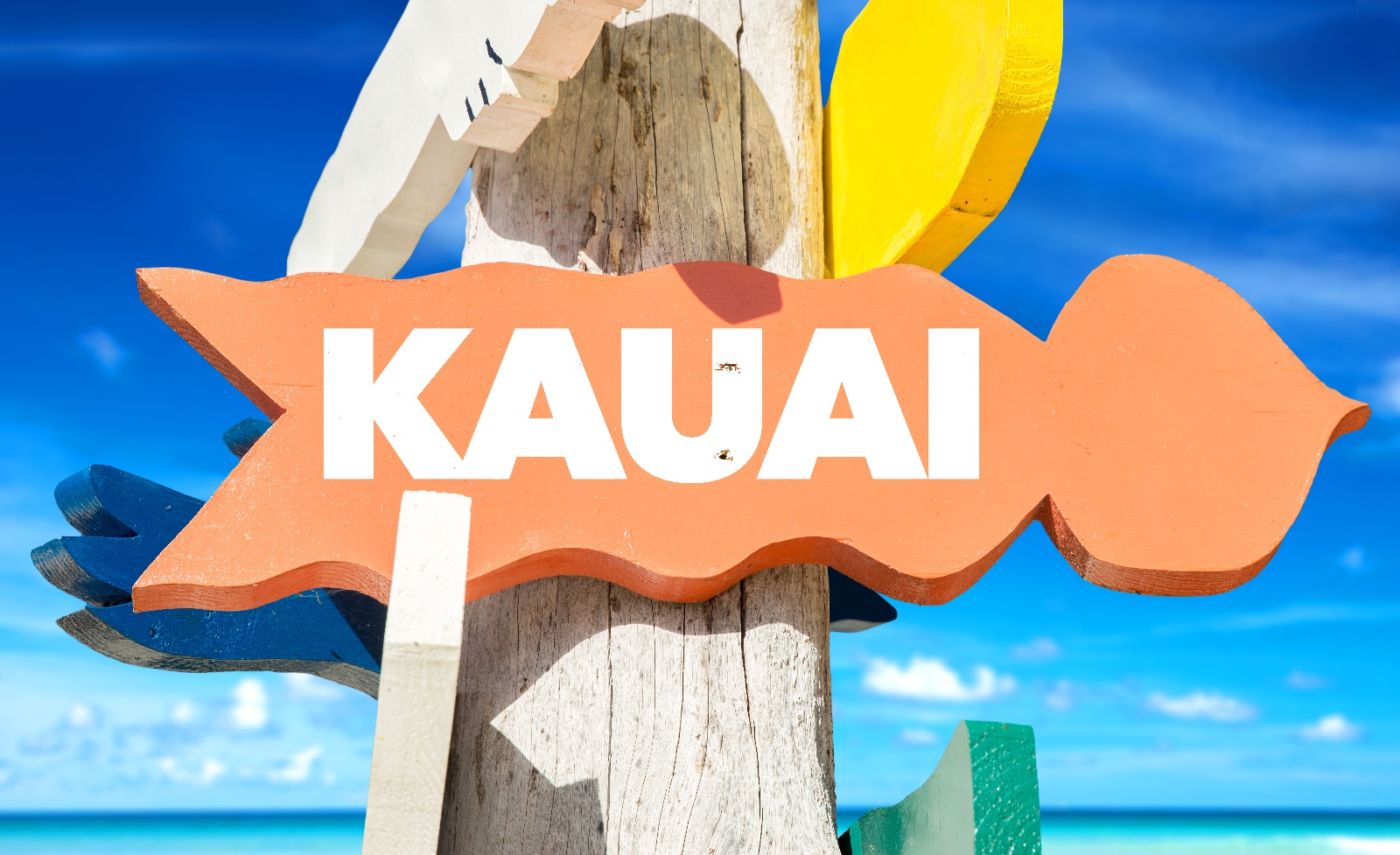 Commercial Landscape Maintenance - No Ka Oi - Kauai, HI