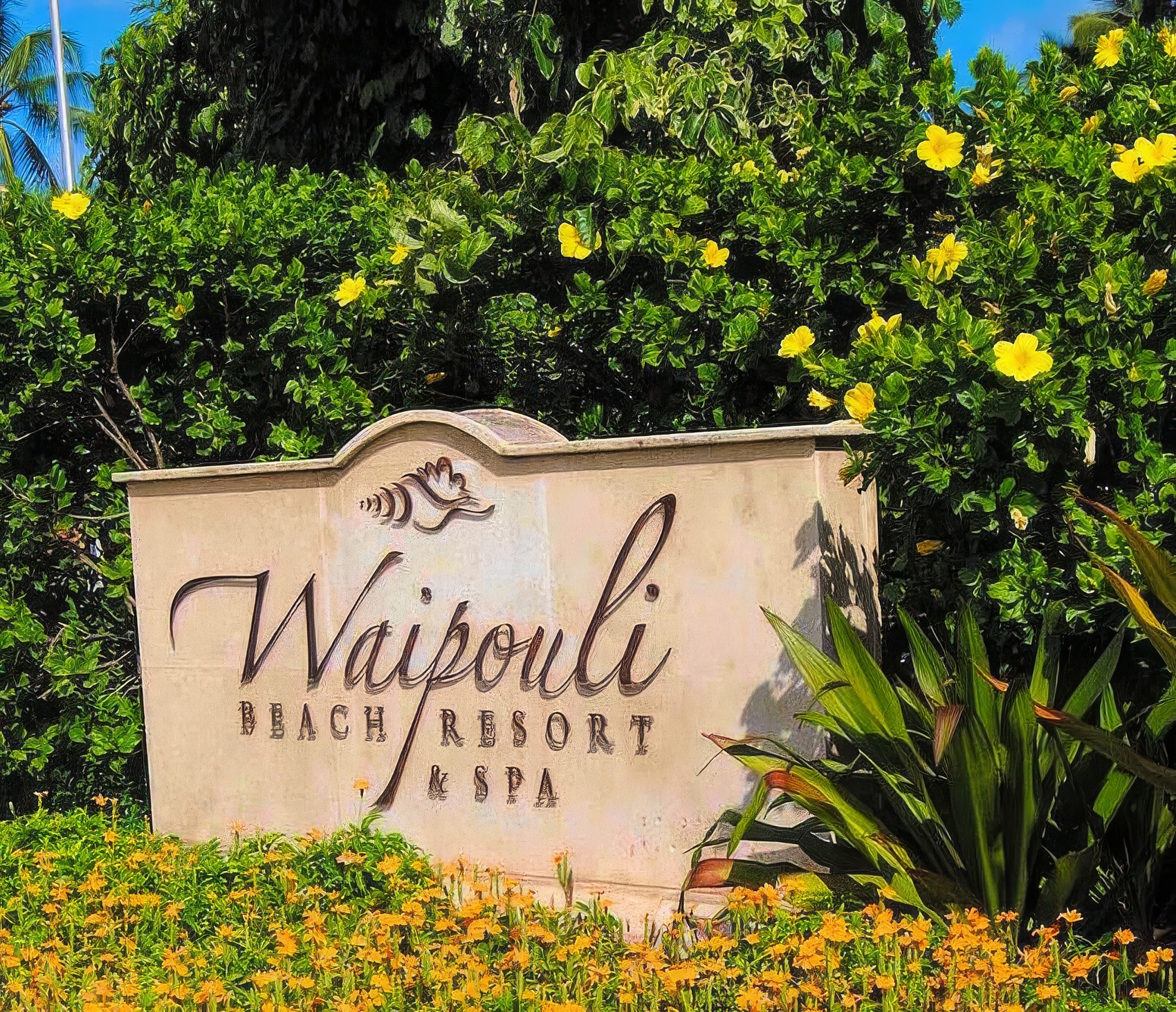 Waipouli Beach Resort & Spa - No Ka Oi Landscape Services