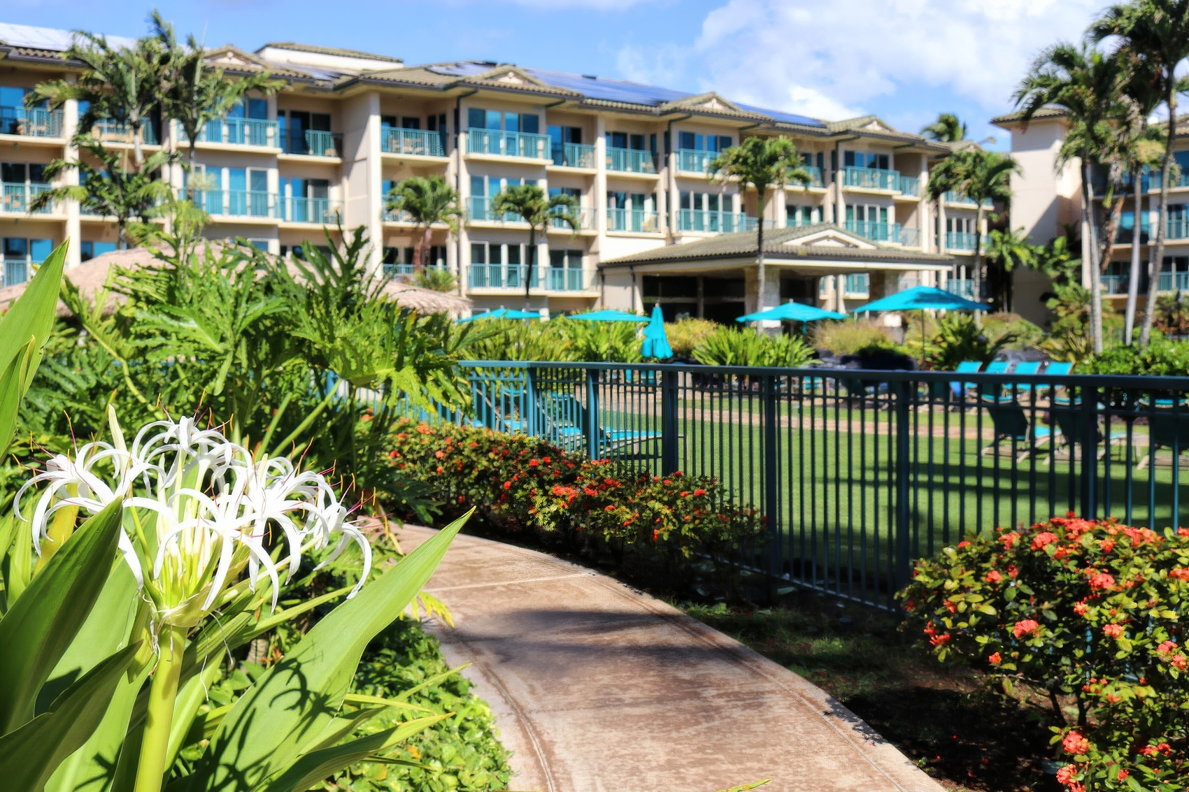 Waipouli Beach Resort & Spa - No Ka Oi Landscape Services